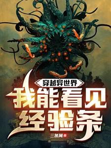 穿越异世界，我能看见经验条